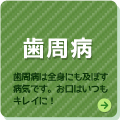 歯周病　歯周病は全身にも及ぼす病気です。お口はいつもキレイに！